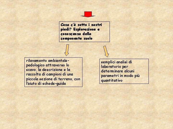 Cosa c’è sotto i nostri piedi? Esplorazione e conoscenza della componente suolo rilevamento ambientalepedologico