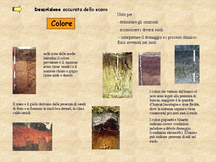 Descrizione accurata dello scavo Colore Utile per : - delimitare gli orizzonti - riconoscere