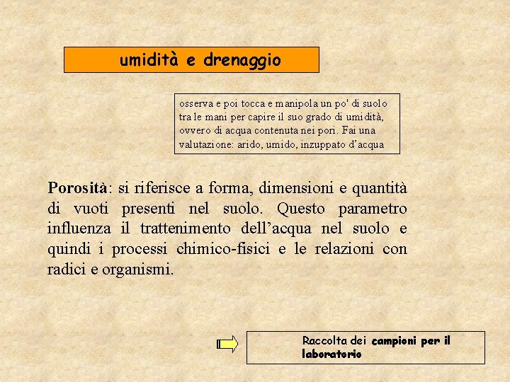 umidità e drenaggio osserva e poi tocca e manipola un po' di suolo tra