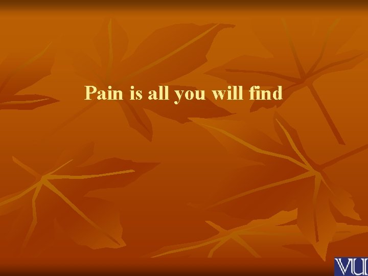 Pain is all you will find 