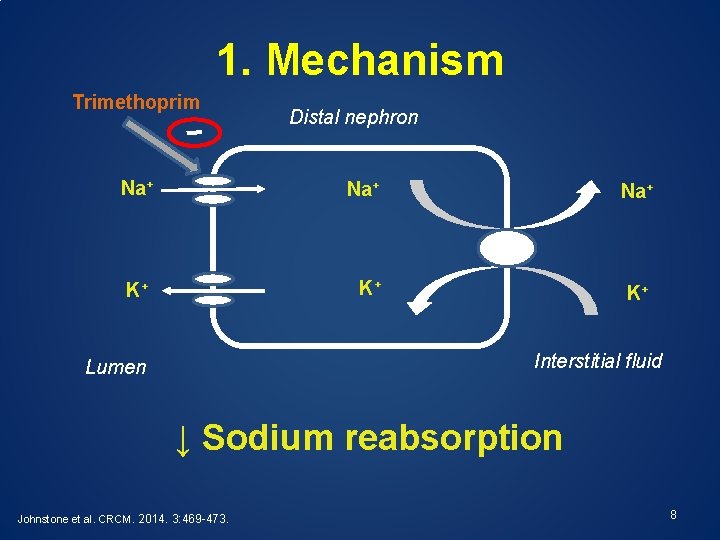 1. Mechanism Trimethoprim Distal nephron Na+ Na+ K+ K+ K+ Interstitial fluid Lumen ↓