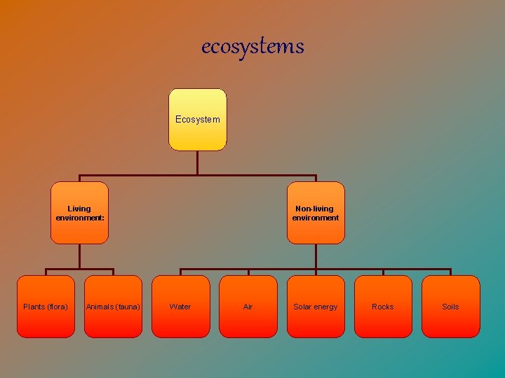 ecosystems Ecosystem Living environment: Plants (flora) Animals (fauna) Non-living environment Water Air Solar energy