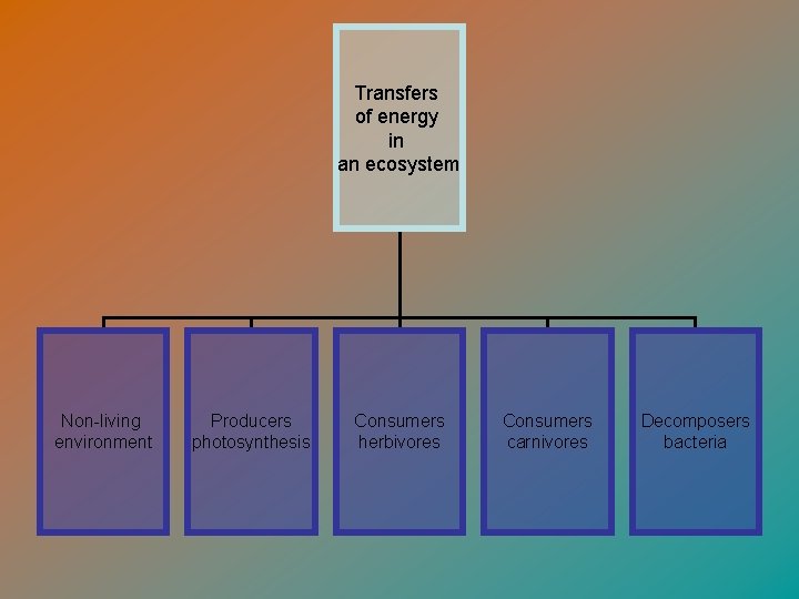 Transfers of energy in an ecosystem Non-living environment Producers photosynthesis Consumers herbivores Consumers carnivores