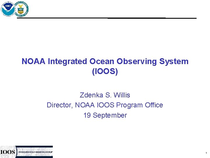 NOAA Integrated Ocean Observing System (IOOS) Zdenka S. Willis Director, NOAA IOOS Program Office