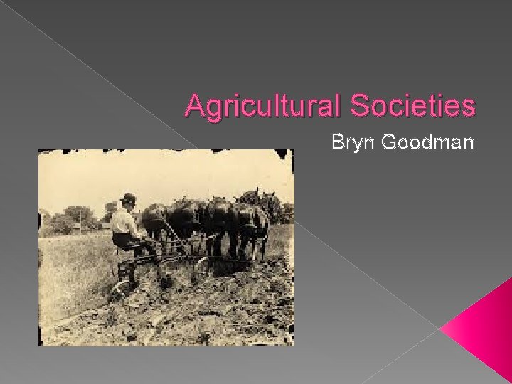 Agricultural Societies Bryn Goodman 