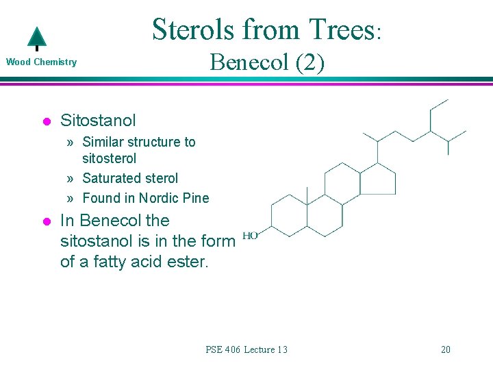Wood Chemistry PSE 406Chem E 470 Lecture 13