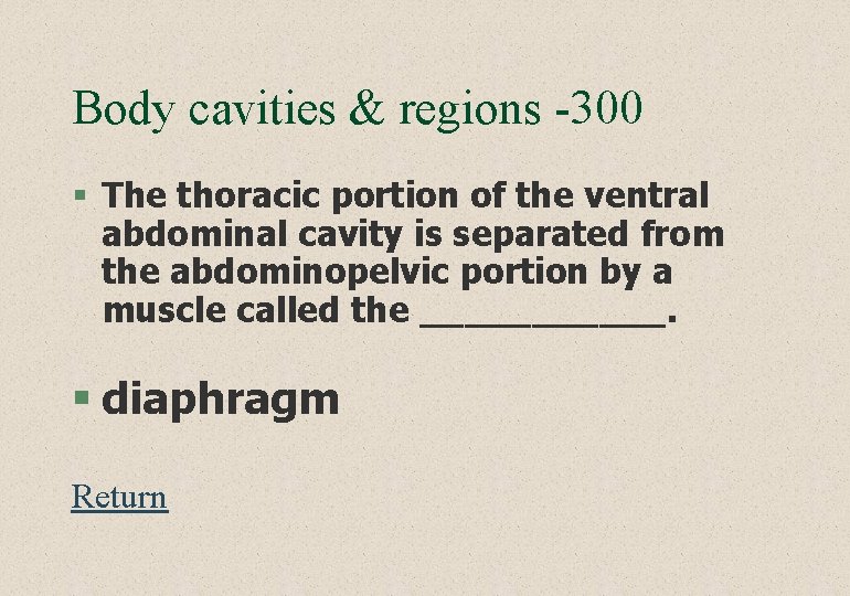 Body cavities & regions -300 § The thoracic portion of the ventral abdominal cavity