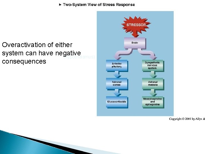 Overactivation of either system can have negative (hypothalamus) consequences 