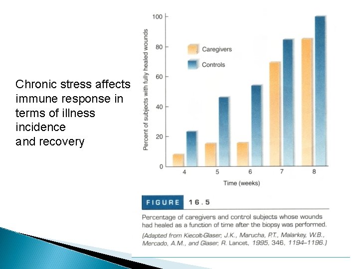Chronic stress affects immune response in terms of illness incidence and recovery 