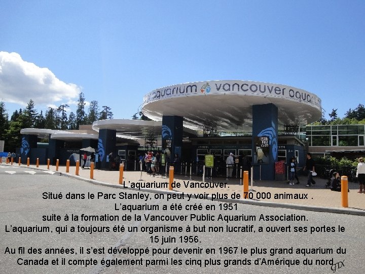 L’aquarium de Vancouver. Situé dans le Parc Stanley, on peut y voir plus de