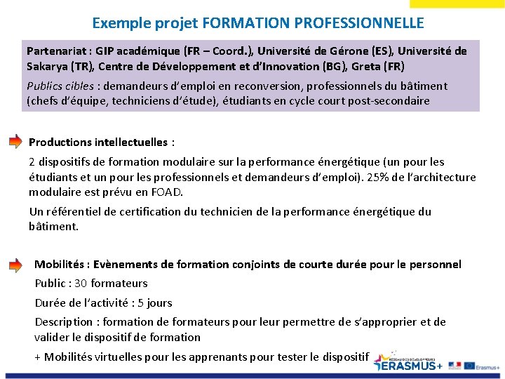 Exemple projet FORMATION PROFESSIONNELLE Partenariat : GIP académique (FR – Coord. ), Université de