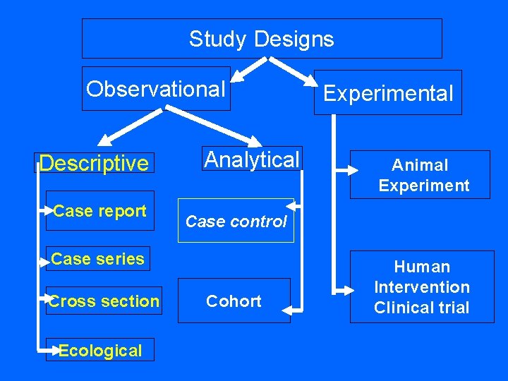 Study Designs Observational Descriptive Case report Analytical Ecological Animal Experiment Case control Case series