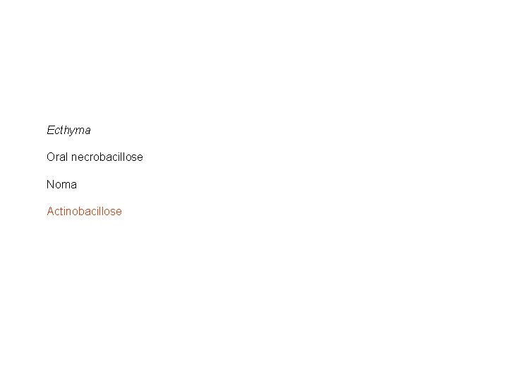 Ecthyma Oral necrobacillose Noma Actinobacillose 