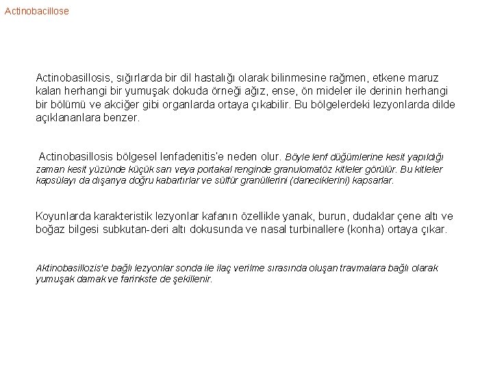 Actinobacillose Actinobasillosis, sığırlarda bir dil hastalığı olarak bilinmesine rağmen, etkene maruz kalan herhangi bir