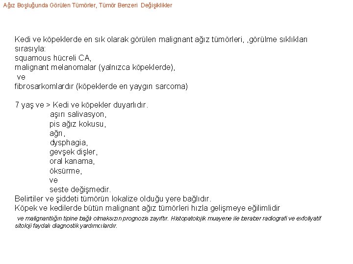 Ağız Boşluğunda Görülen Tümörler, Tümör Benzeri Değişiklikler Kedi ve köpeklerde en sık olarak görülen