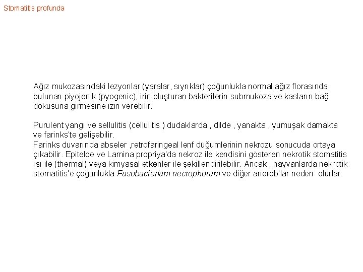 Stomatitis profunda Ağız mukozasındaki lezyonlar (yaralar, sıyrıklar) çoğunlukla normal ağız florasında bulunan piyojenik (pyogenic),