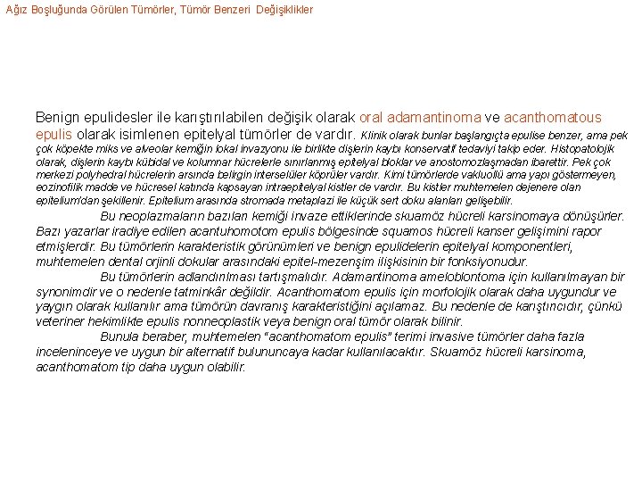 Ağız Boşluğunda Görülen Tümörler, Tümör Benzeri Değişiklikler Benign epulidesler ile karıştırılabilen değişik olarak oral