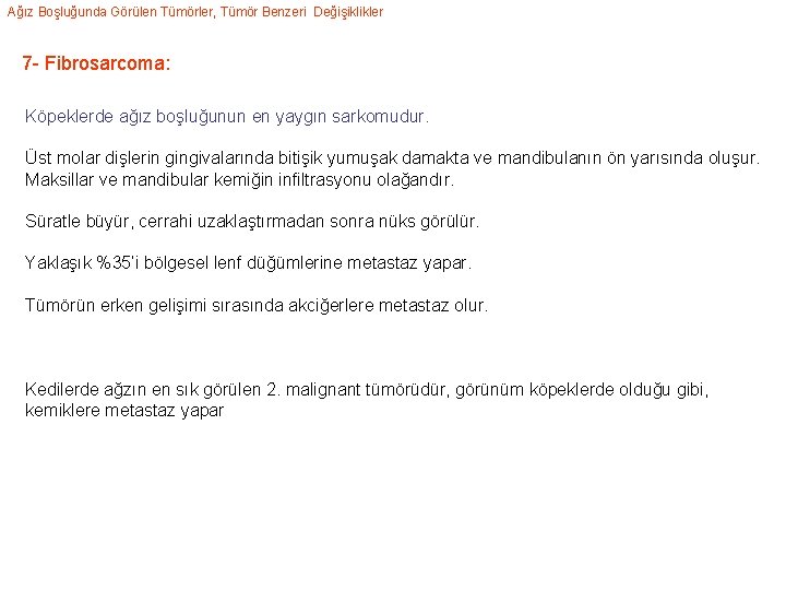 Ağız Boşluğunda Görülen Tümörler, Tümör Benzeri Değişiklikler 7 - Fibrosarcoma: Köpeklerde ağız boşluğunun en