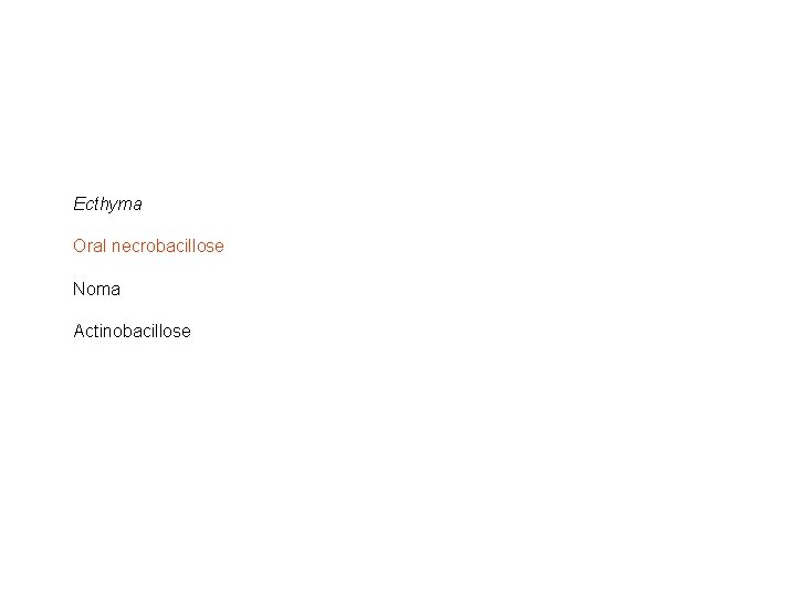 Ecthyma Oral necrobacillose Noma Actinobacillose 