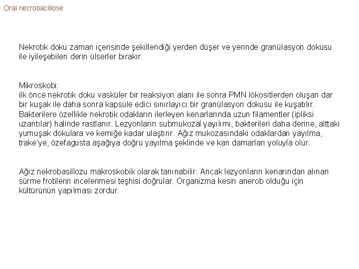 Oral necrobacillose Nekrotik doku zaman içerisinde şekillendiği yerden düşer ve yerinde granülasyon dokusu ile
