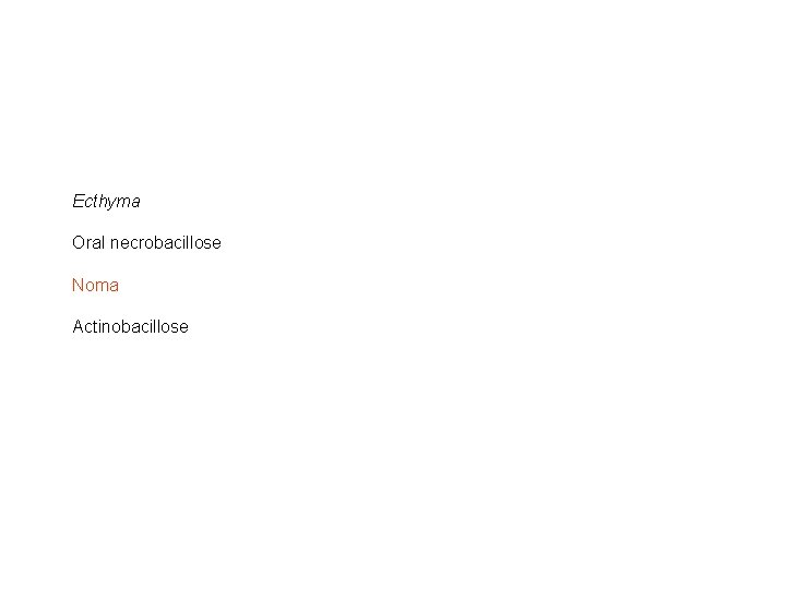 Ecthyma Oral necrobacillose Noma Actinobacillose 