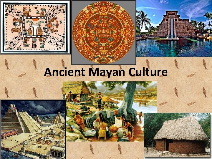 Ancient Mayan Culture 