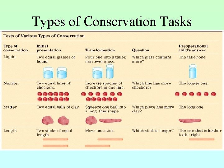 Types of Conservation Tasks 