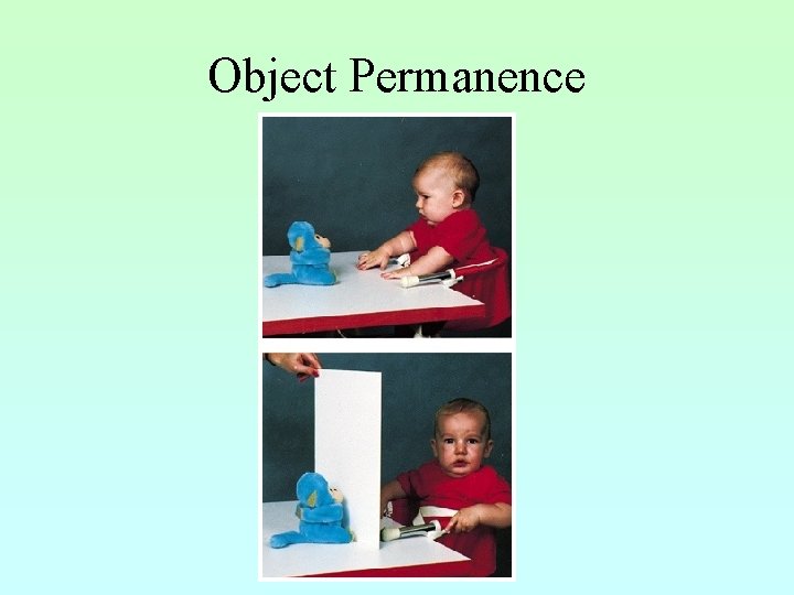 Object Permanence 