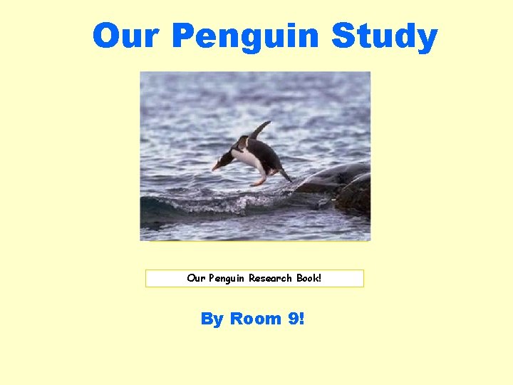 Our Penguin Study Insert picture here. Our Penguin Research Book! By Room 9! 