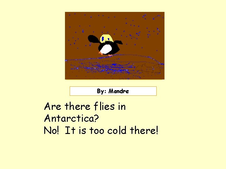 Insert picture here. By: Mandre Are there flies in Antarctica? No! It is too