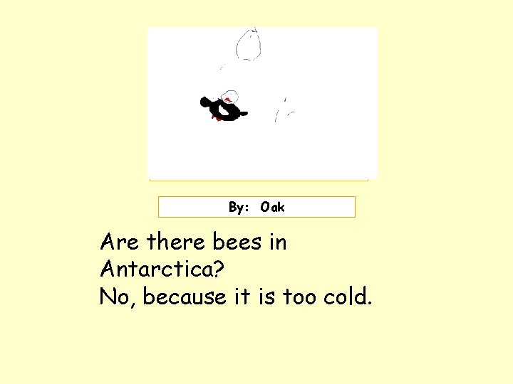 Insert picture here. By: Oak Are there bees in Antarctica? No, because it is