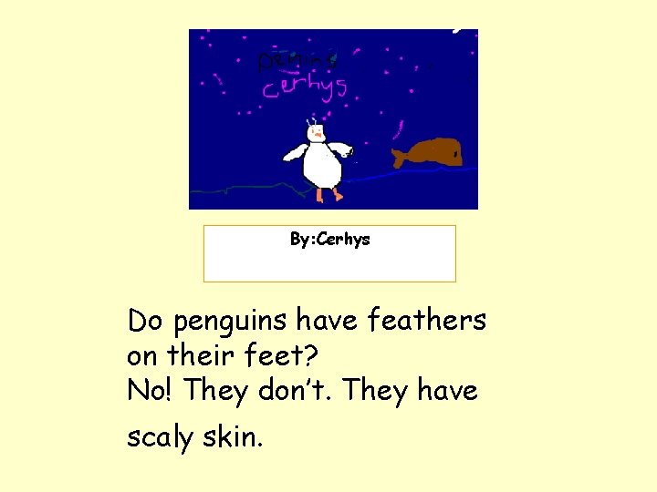 Insert picture here. By: Cerhys Do penguins have feathers on their feet? No! They