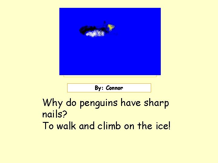 Insert picture here. By: Connor Why do penguins have sharp nails? To walk and