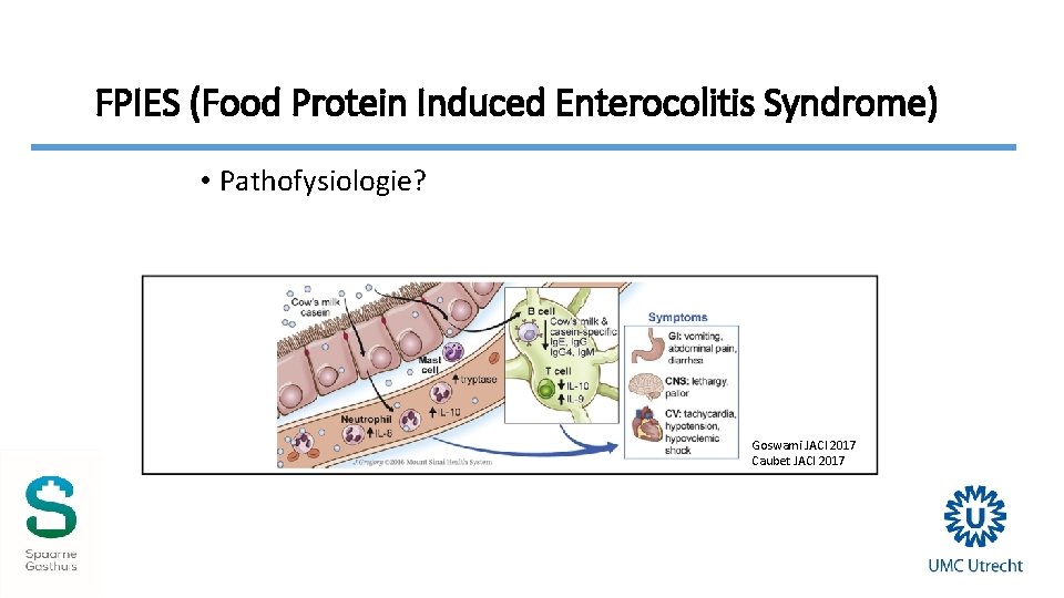 FPIES (Food Protein Induced Enterocolitis Syndrome) • Pathofysiologie? Goswami JACI 2017 Caubet JACI 2017