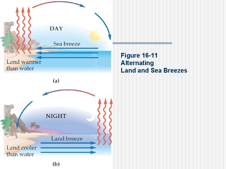 Figure 16 -11 Alternating Land Sea Breezes 
