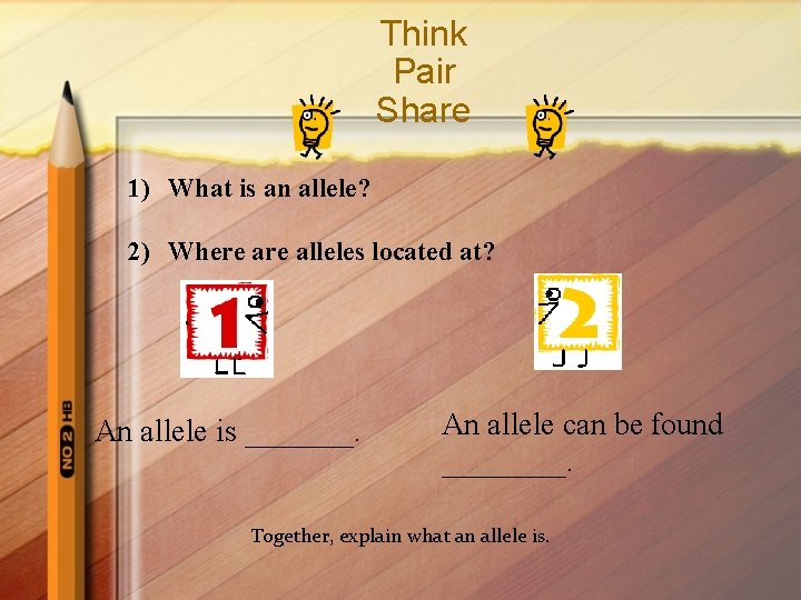 Think Pair Share 1) What is an allele? 2) Where alleles located at? An