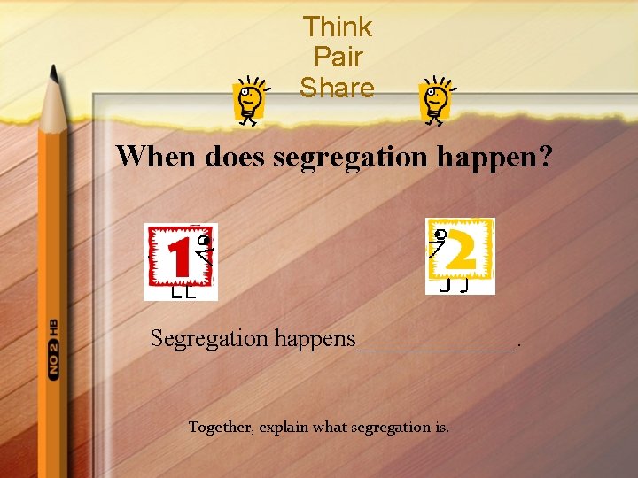 Think Pair Share When does segregation happen? Segregation happens_______. Together, explain what segregation is.