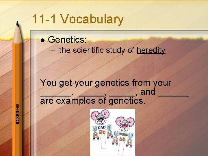 11 -1 Vocabulary l Genetics: – the scientific study of heredity You get your