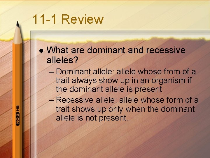 11 -1 Review l What are dominant and recessive alleles? – Dominant allele: allele