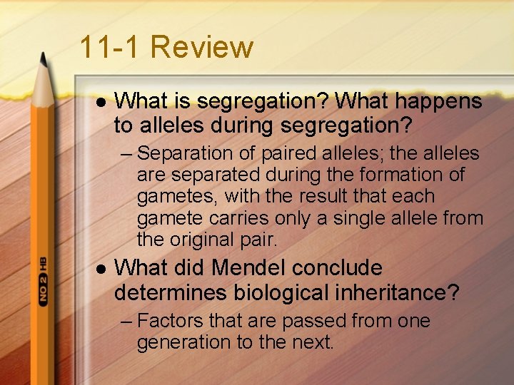 11 -1 Review l What is segregation? What happens to alleles during segregation? –