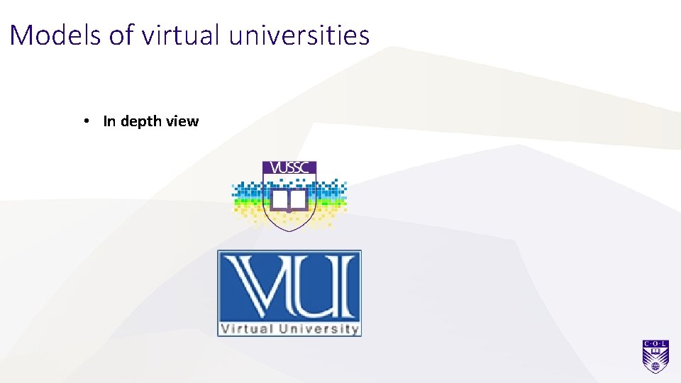 Models of virtual universities • In depth view 