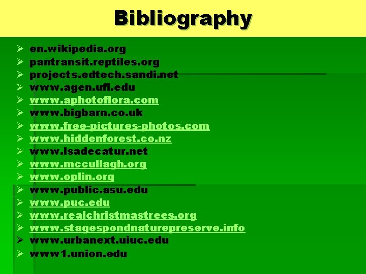 Bibliography Ø Ø Ø Ø Ø en. wikipedia. org pantransit. reptiles. org projects. edtech.