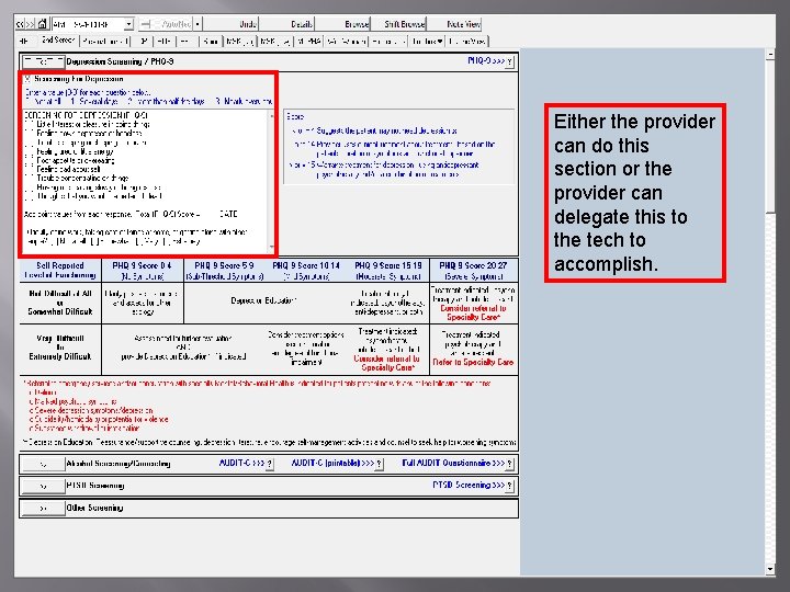Either the provider can do this section or the provider can delegate this to Either the provider can do this section or the provider can delegate this to