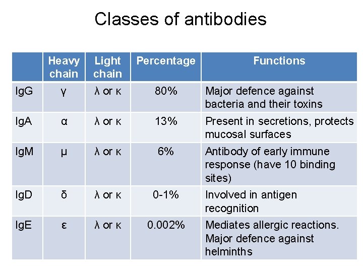Classes of antibodies Heavy chain Light chain Percentage Functions Ig. G γ λ or