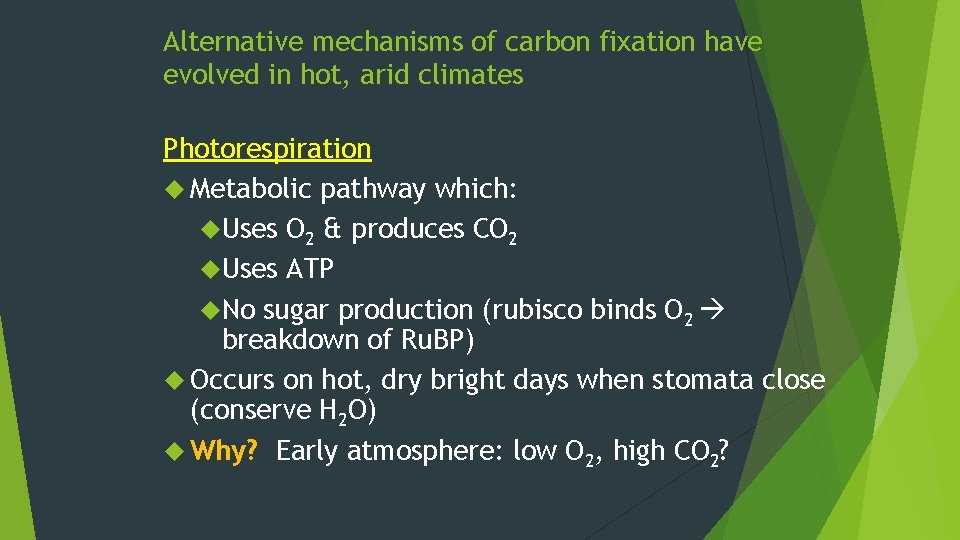 Alternative mechanisms of carbon fixation have evolved in hot, arid climates Photorespiration Metabolic pathway