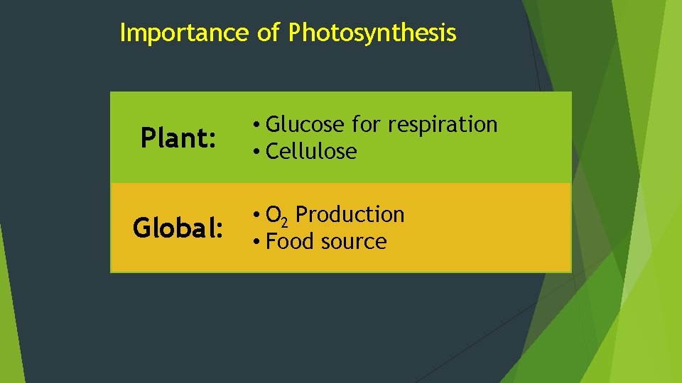 Importance of Photosynthesis Plant: Global: • Glucose for respiration • Cellulose • O 2