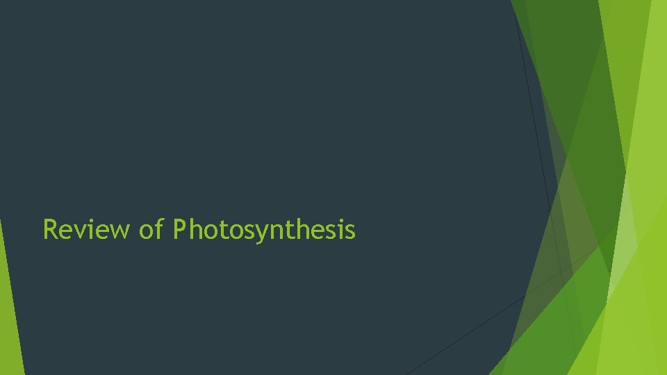 Review of Photosynthesis 
