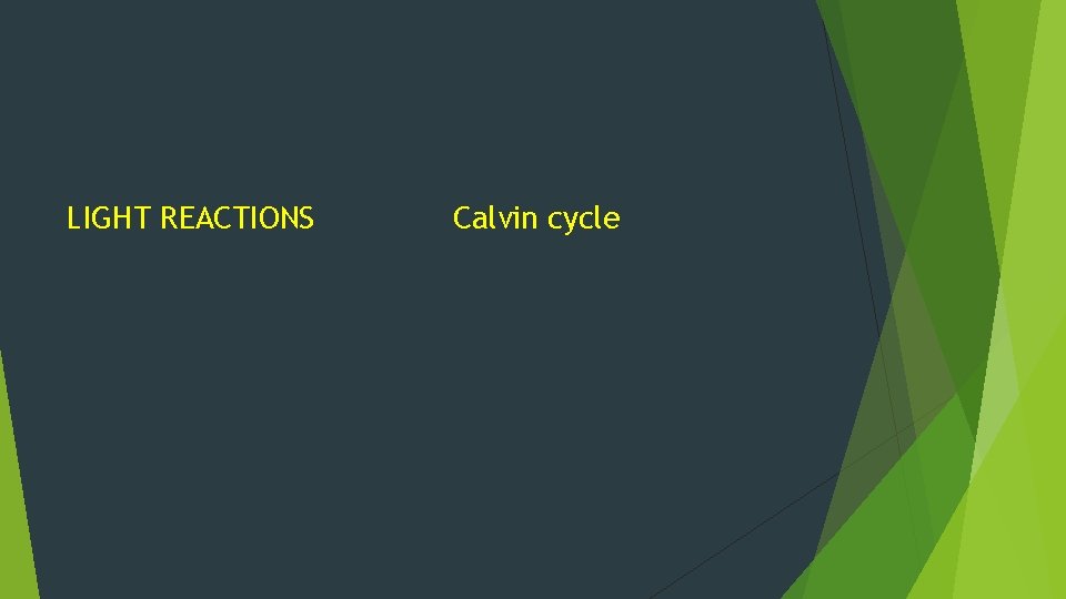 LIGHT REACTIONS Calvin cycle 