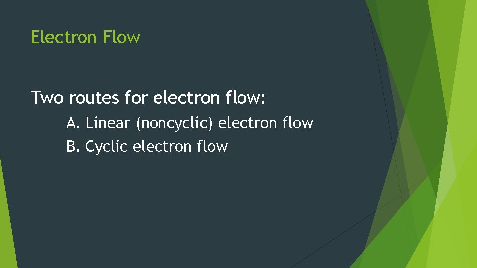 Electron Flow Two routes for electron flow: A. Linear (noncyclic) electron flow B. Cyclic