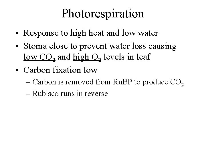 Photorespiration • Response to high heat and low water • Stoma close to prevent